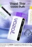Vozol Star 12000 Puffs