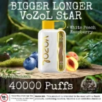 Vozol Star 40000 Puffs Disposable Vape Device in UAE - Image 27