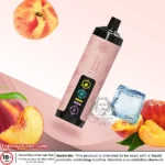 Vapgo Bar 30000 Puffs Chill Shisha Disposable Vape in UAE - Image 14